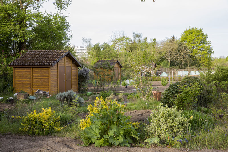 Jardins familiaux