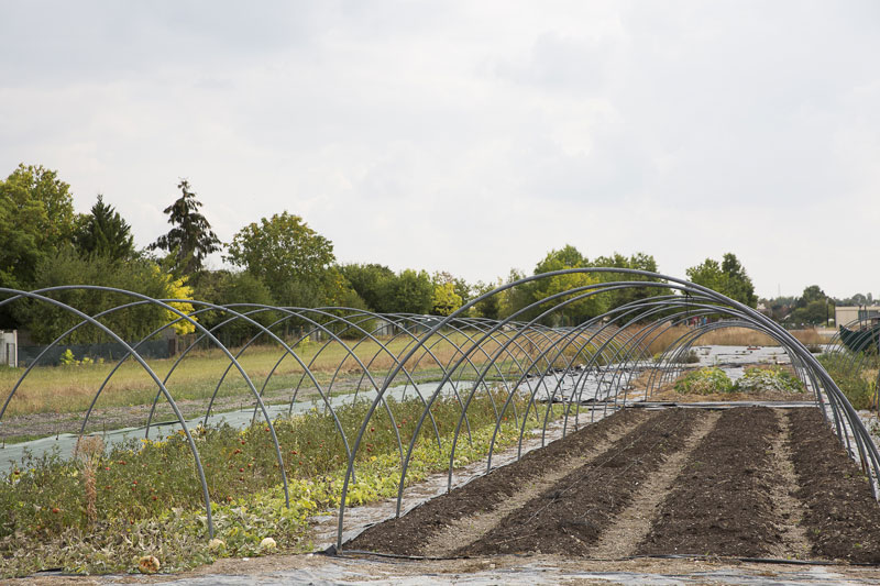 Une microferme bio s'est installée dans la ZAP en 2018