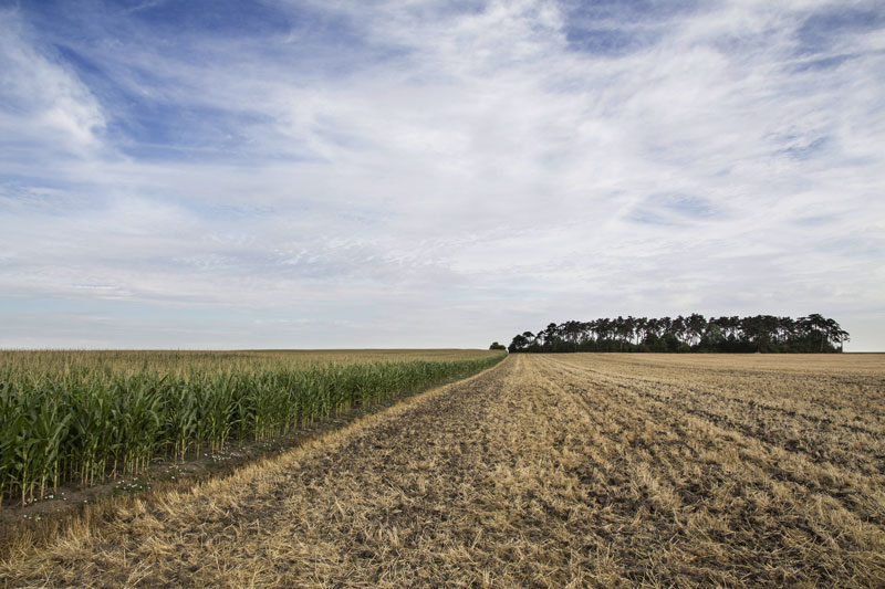 Photo d'une terre agricole au nord de la commune