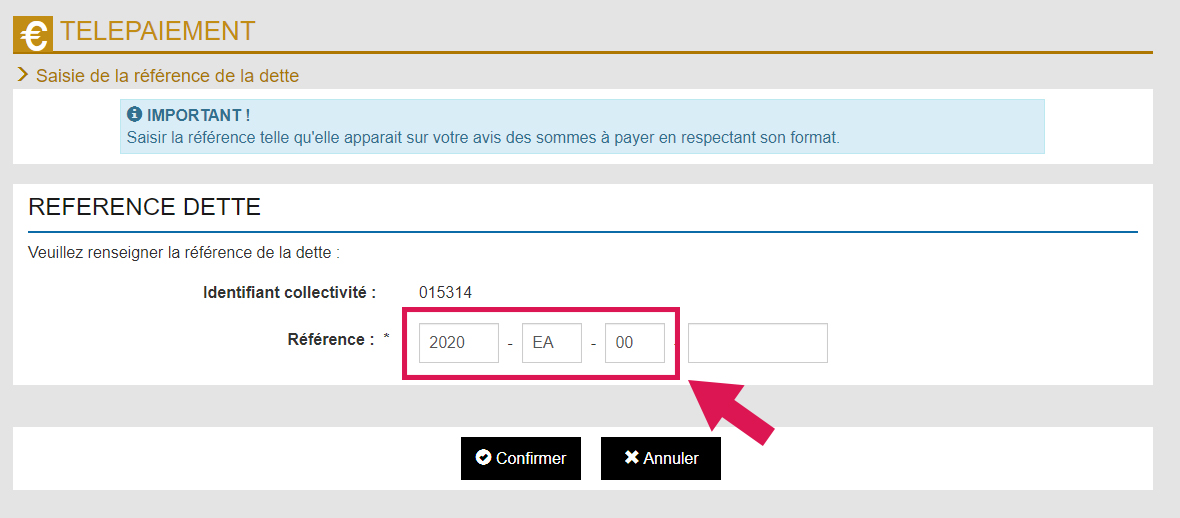 Www.facture.capio.fr Voir Et Payer Ma Facture En Ligne