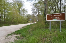 Entrée de la forêt d'Orléans à Saran